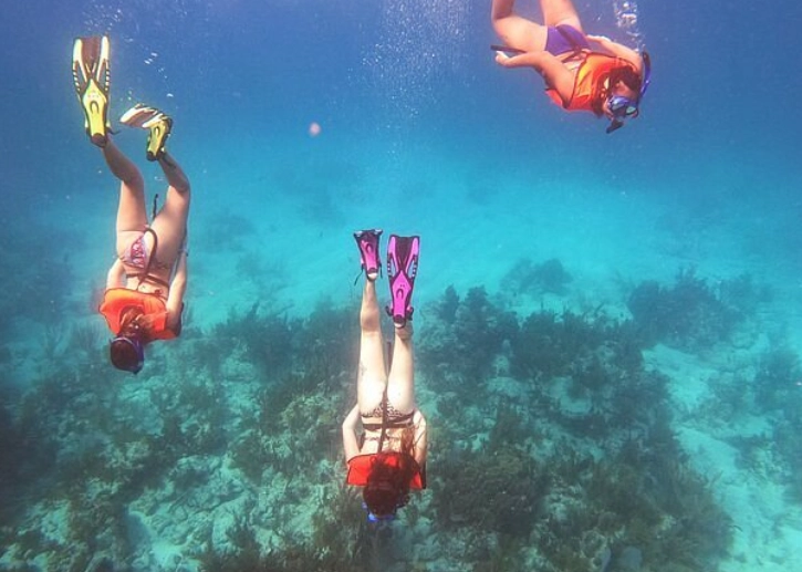 Best snorkeling tours