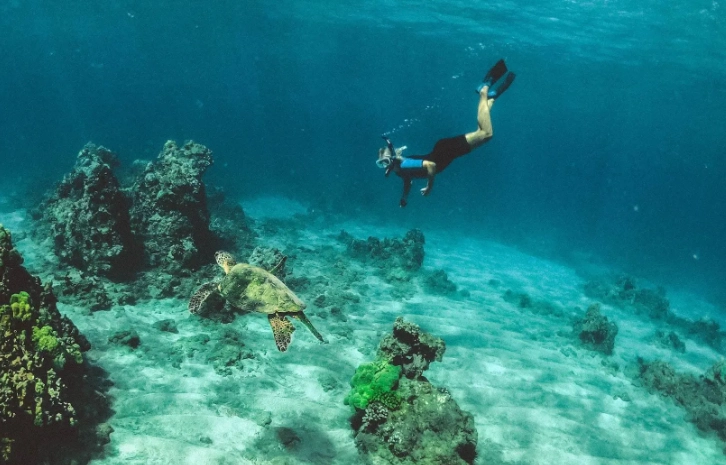 snorkeling Costa Rica dry season