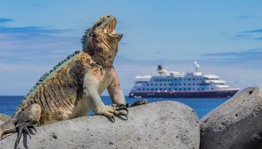 worst time to visit Galapagos worst time to visit Galapagos