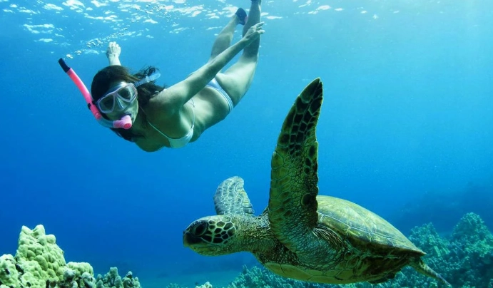 best snorkeling Cayman