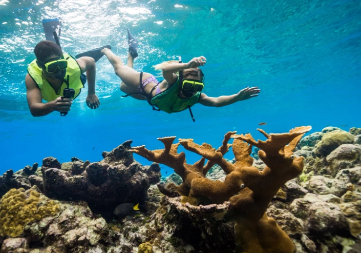 Grand Cayman snorkeling excursions Grand Cayman snorkeling excursions