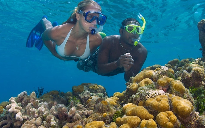 Seven Mile Beach snorkeling