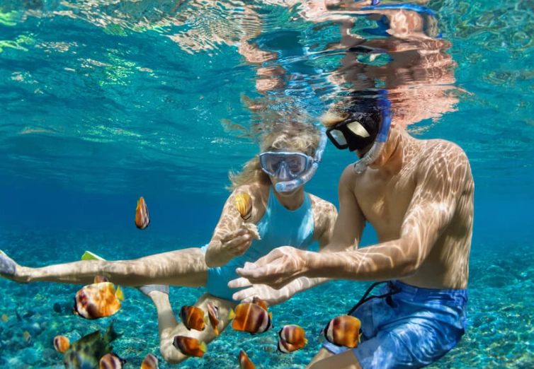Grand Cayman snorkeling excursions Grand Cayman snorkeling excursions