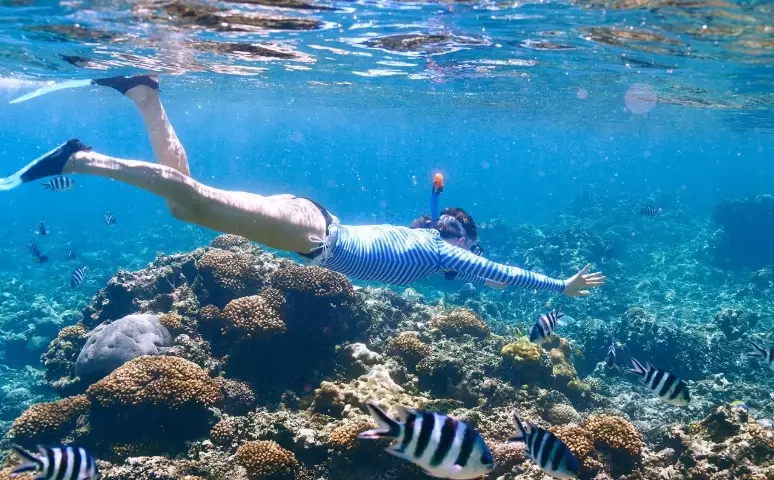 snorkeling near George Town cruise port snorkeling near George Town cruise port