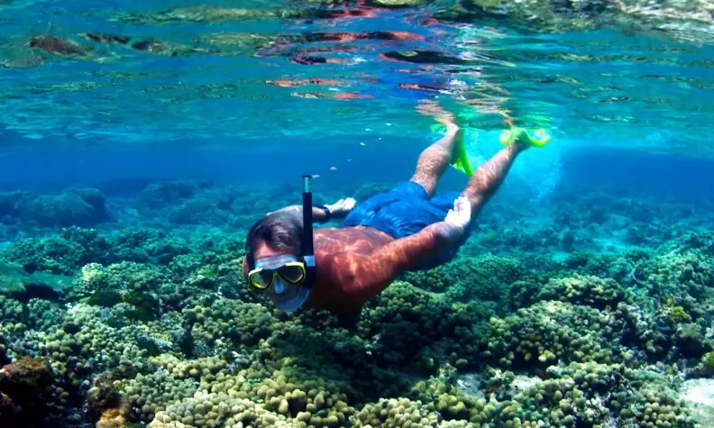 Free snorkeling in Cayman Islands