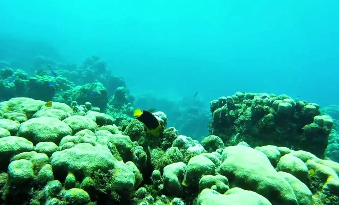 Cayman snorkeling spots