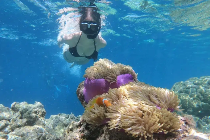 Cayman Islands snorkeling spots