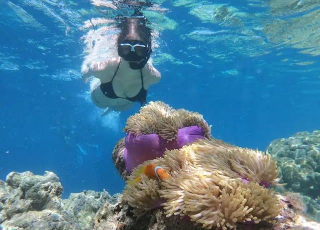 snorkeling grand cayman