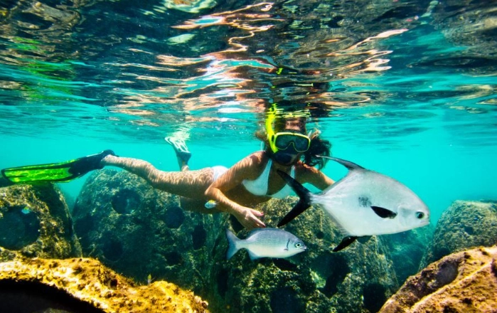 snorkeling Cayman Islands beginners