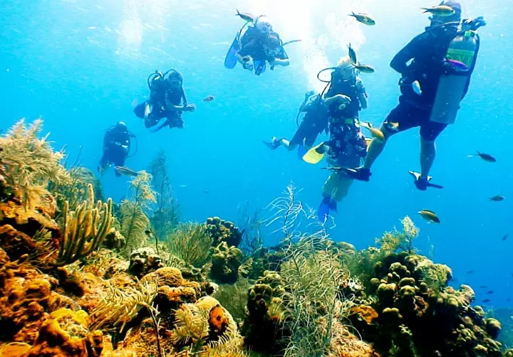 Free snorkeling in Cayman Islands