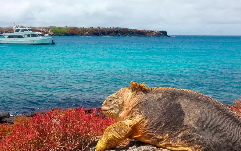 Galapagos Islands rainy season Galapagos Islands rainy season