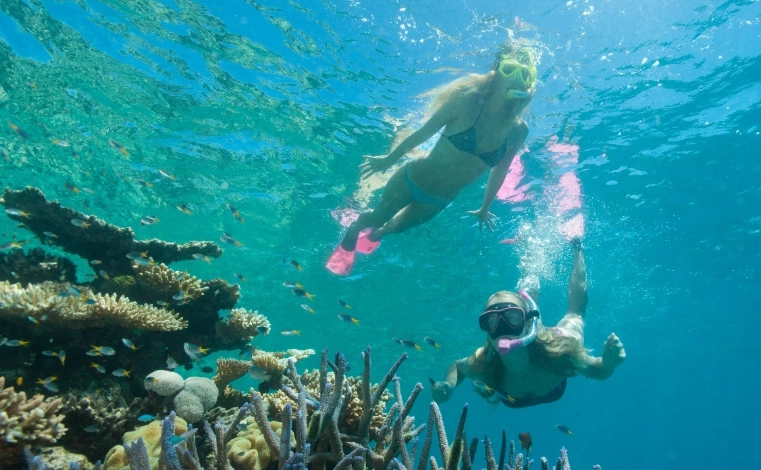 Is snorkeling safe Great Barrier Reef