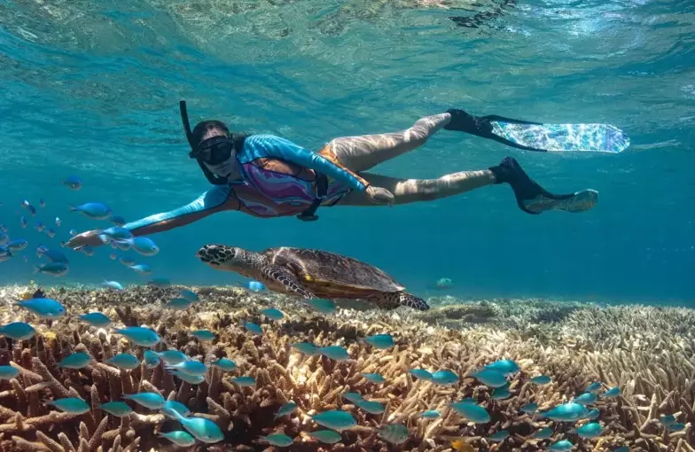 Is snorkeling safe Great Barrier Reef