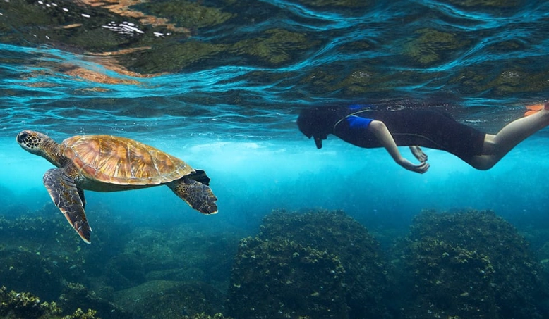 Galapagos water temperature