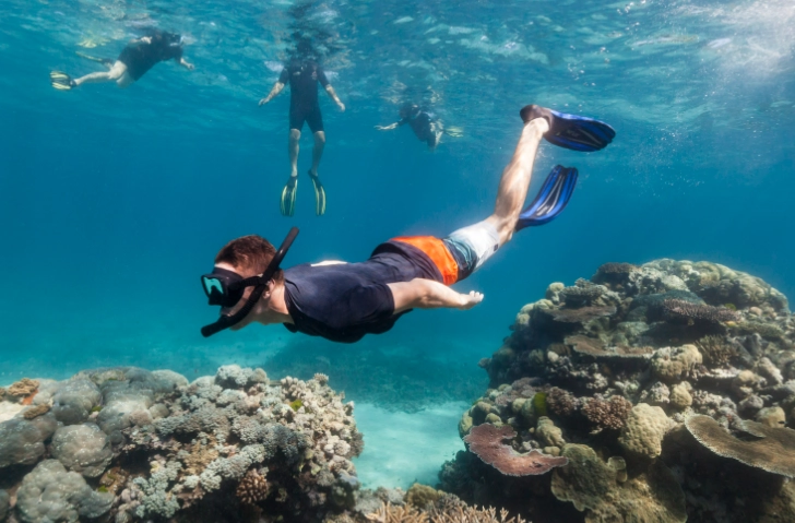 snorkeling diving snorkeling diving