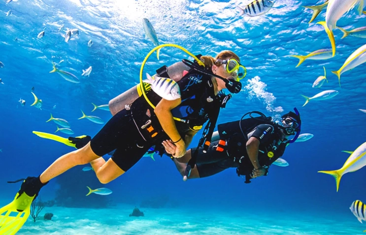 snorkel diving techniques snorkel diving techniques