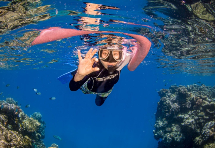 Great Barrier Reef dangers snorkeling