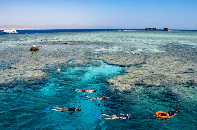 snorkeling Egypt Red Sea snorkeling Egypt Red Sea