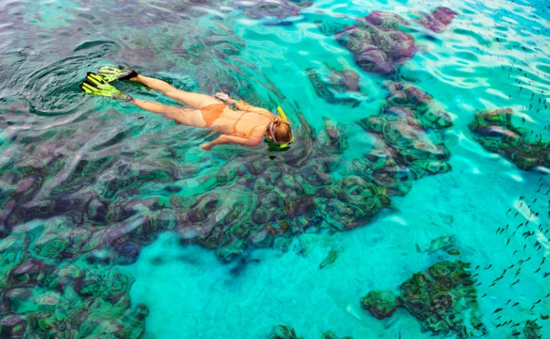 Bahamas snorkeling spots