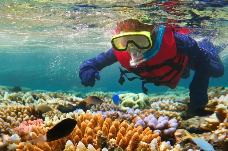 freediving while snorkeling freediving while snorkeling