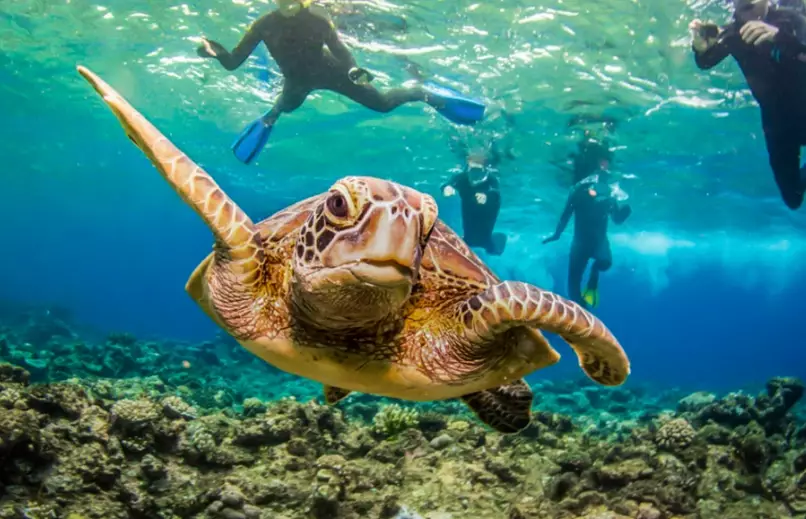 snorkeling destinations