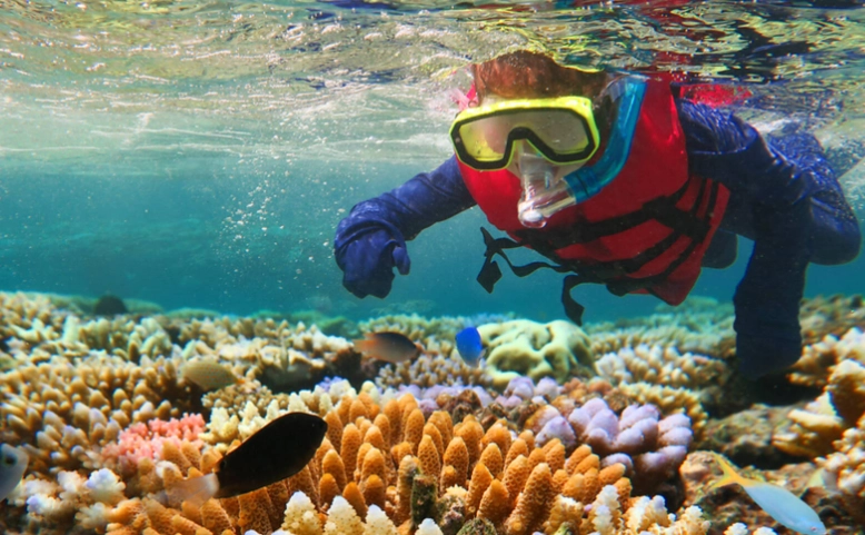 where to snorkel where to snorkel