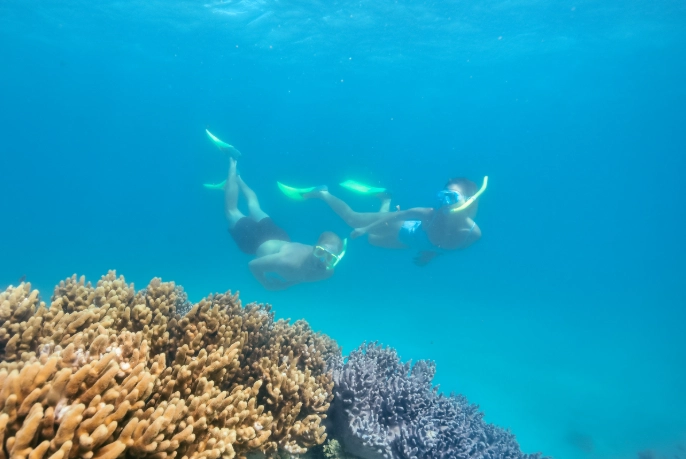 Great Barrier Reef dangers snorkeling