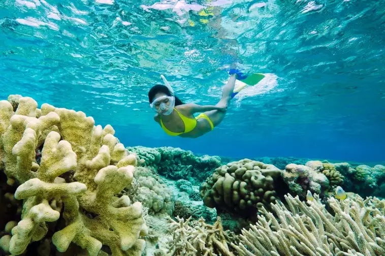 top snorkeling destinations top snorkeling destinations