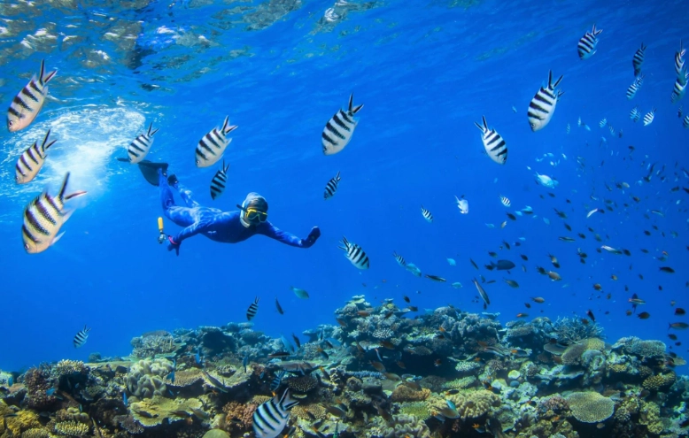 Great Barrier Reef snorkeling safety