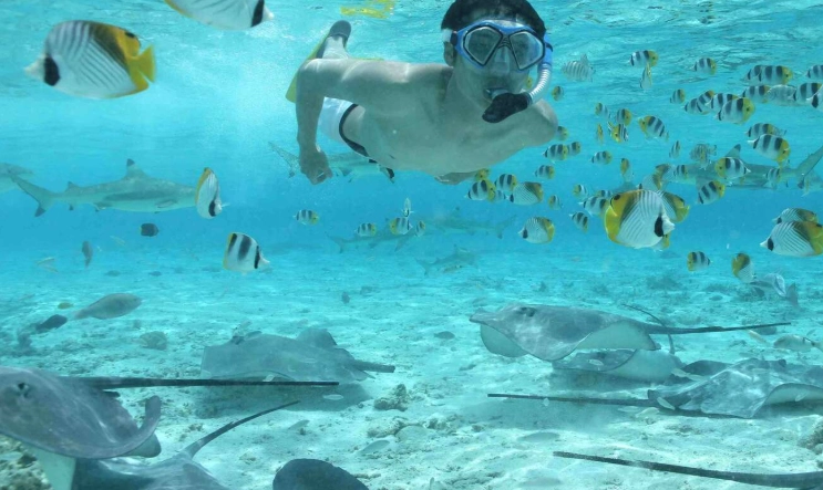 best snorkeling in bora bora