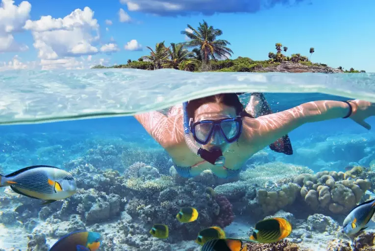 best snorkeling spots Key West best snorkeling spots Key West