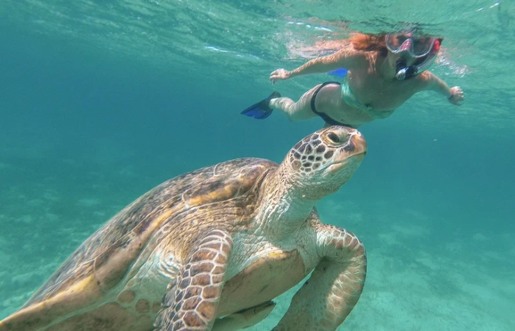 Nassau snorkeling tours