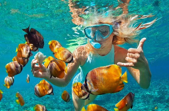Bahamas snorkeling tours