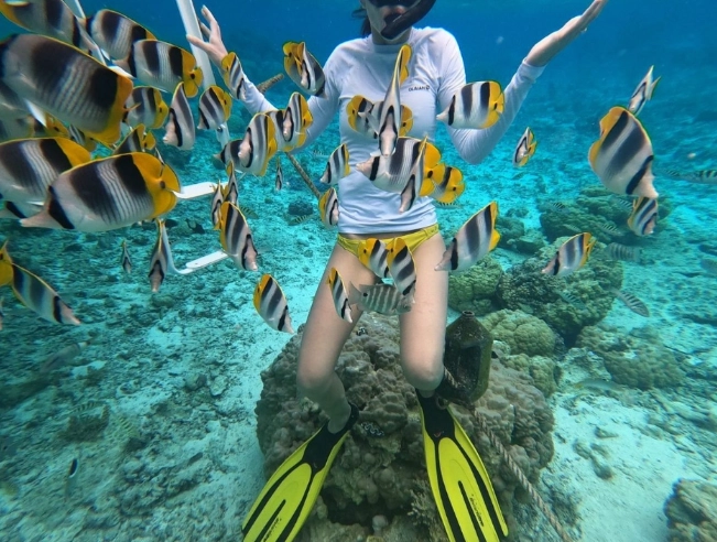 Bora Bora snorkeling spots