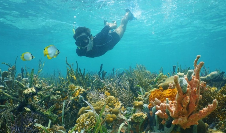 Pacific coast snorkeling Costa Rica Pacific coast snorkeling Costa Rica