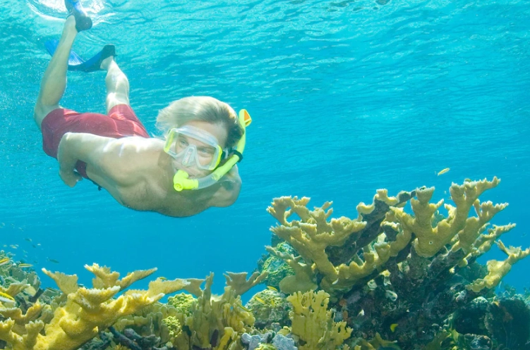 Bahamas snorkeling spots