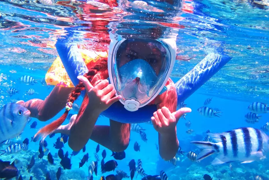 how much to snorkel in Bora Bora how much to snorkel in Bora Bora