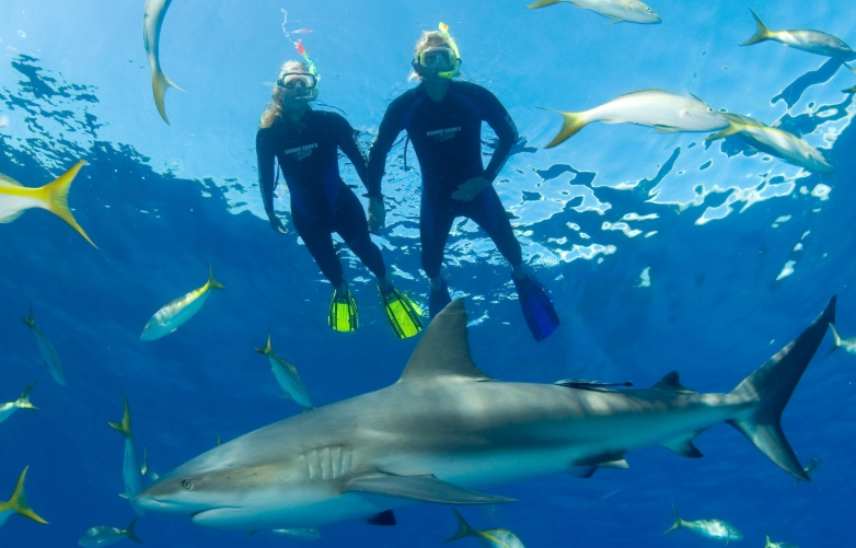 Snorkeling in Bahamas