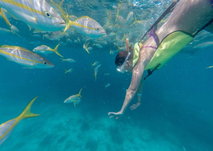best snorkeling spots Key West best snorkeling spots Key West