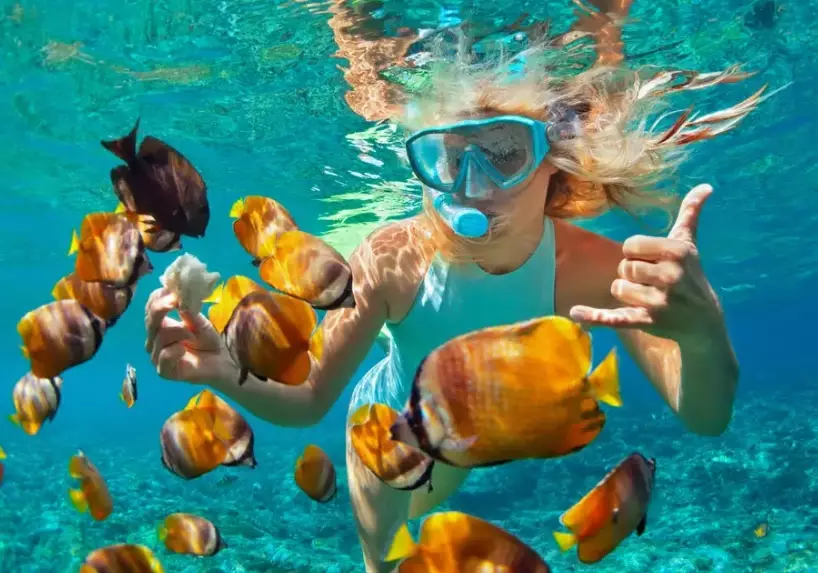 Bahamas snorkeling spots