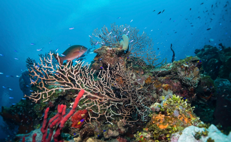 marine protected area rules
