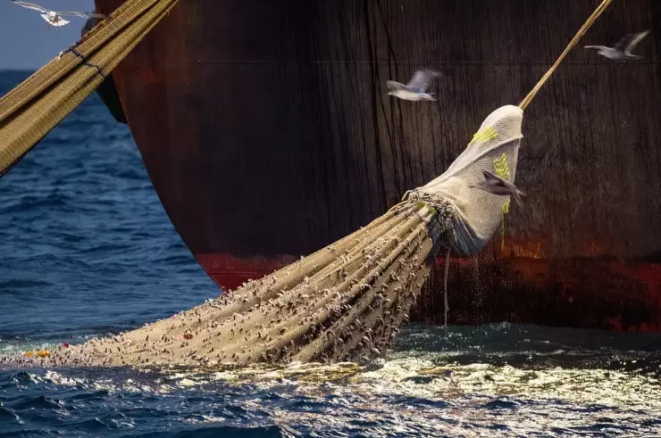 beginner snorkeling safety