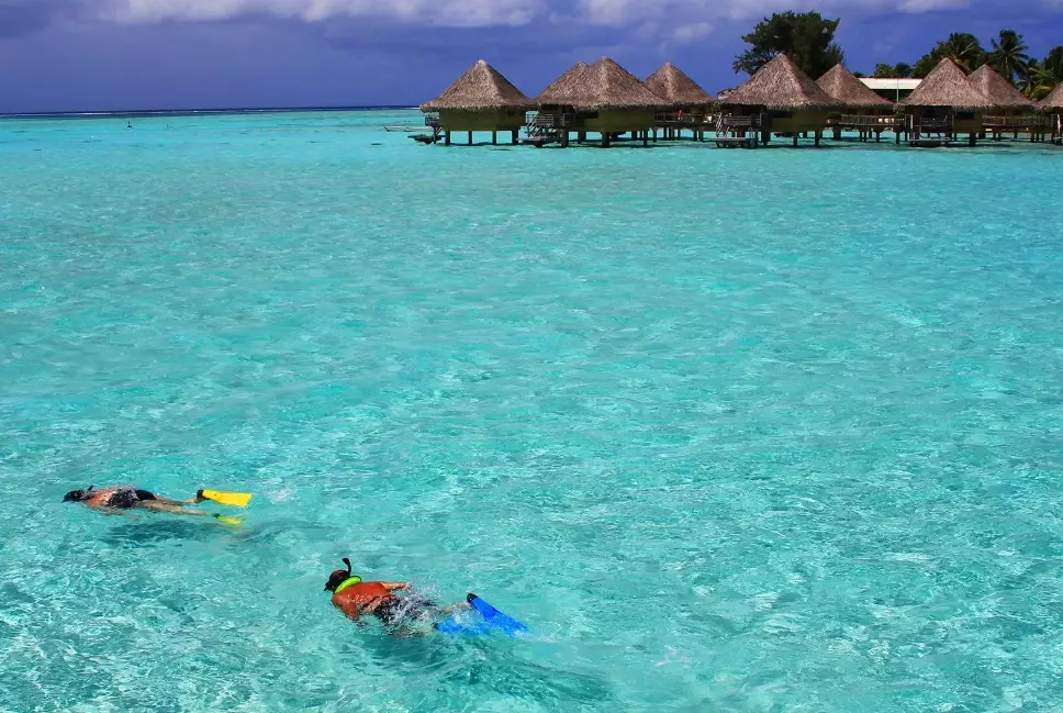 snorkeling tours Bora Bora price snorkeling tours Bora Bora price