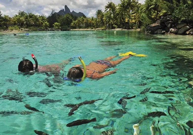 best snorkeling in bora bora