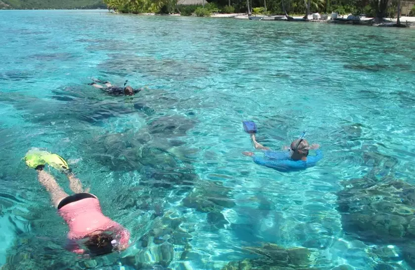 how much to snorkel in Bora Bora how much to snorkel in Bora Bora