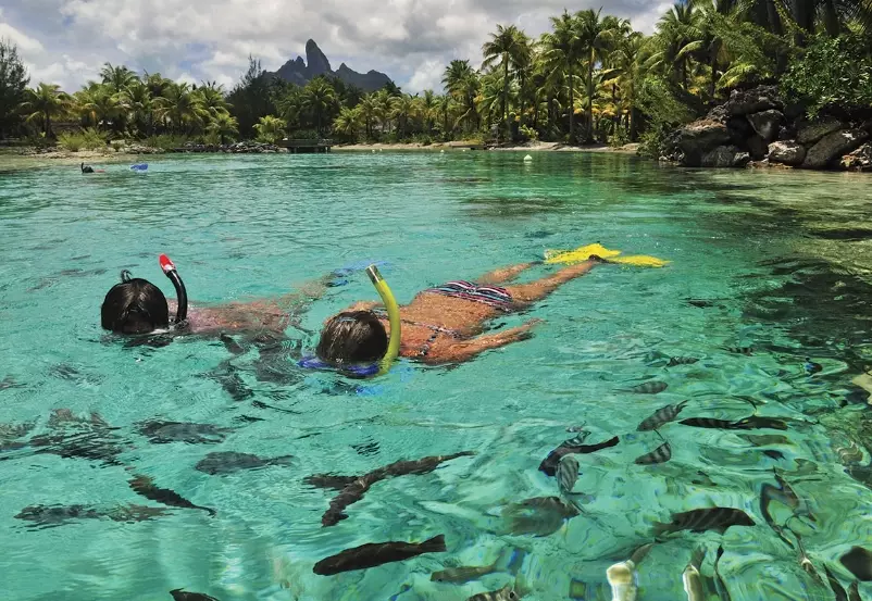 snorkeling tours Bora Bora price snorkeling tours Bora Bora price