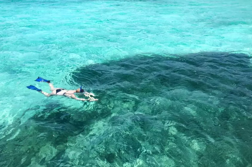 Snorkeling in Bahamas