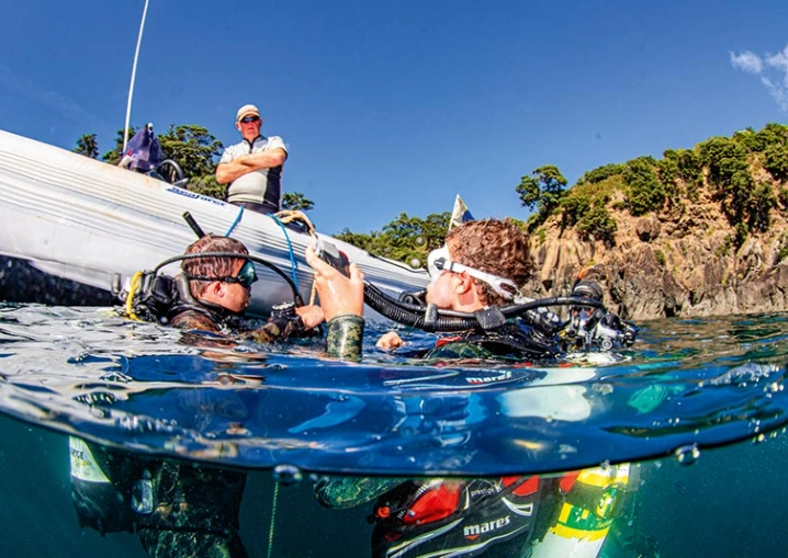 snorkeling for non-swimmers