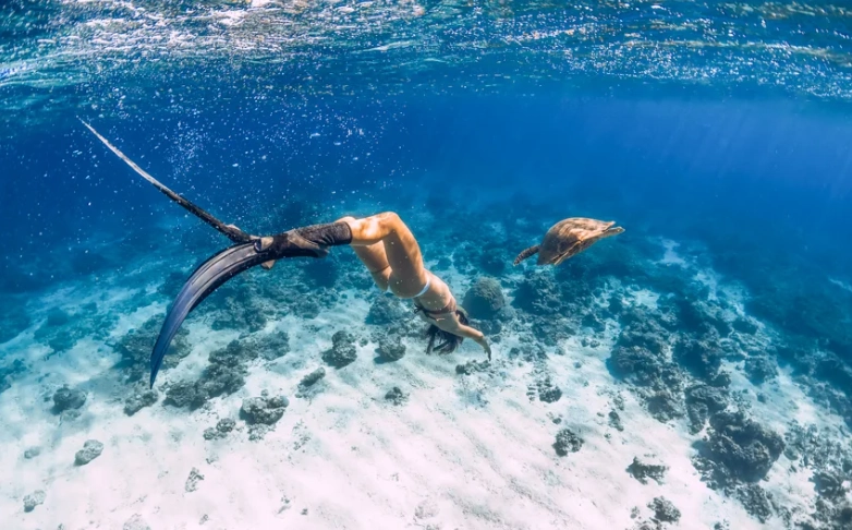 Nassau snorkeling tours