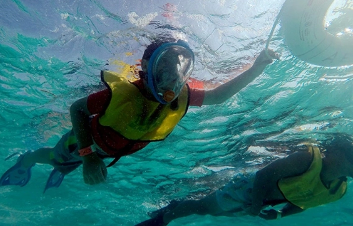 beginner snorkeling safety